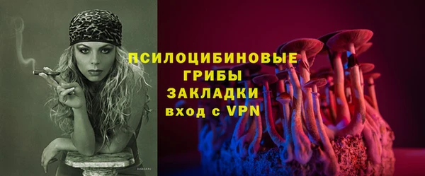 ешки Инта
