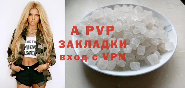 прущие грибы Долгопрудный