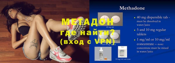 прущие грибы Долгопрудный