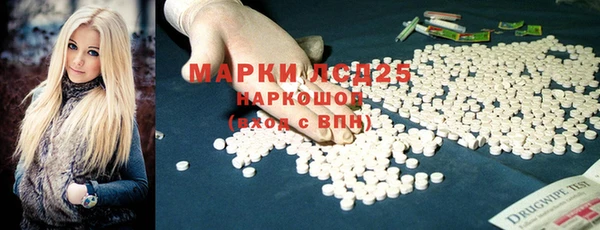 ECSTASY Инсар