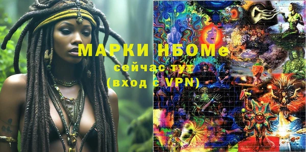 ешки Инта