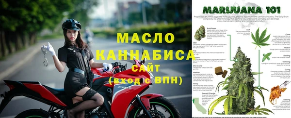 ECSTASY Инсар