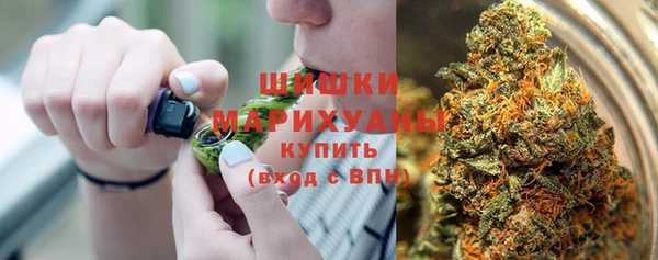ешки Инта