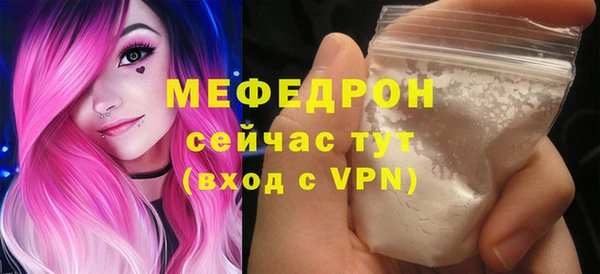 ешки Инта
