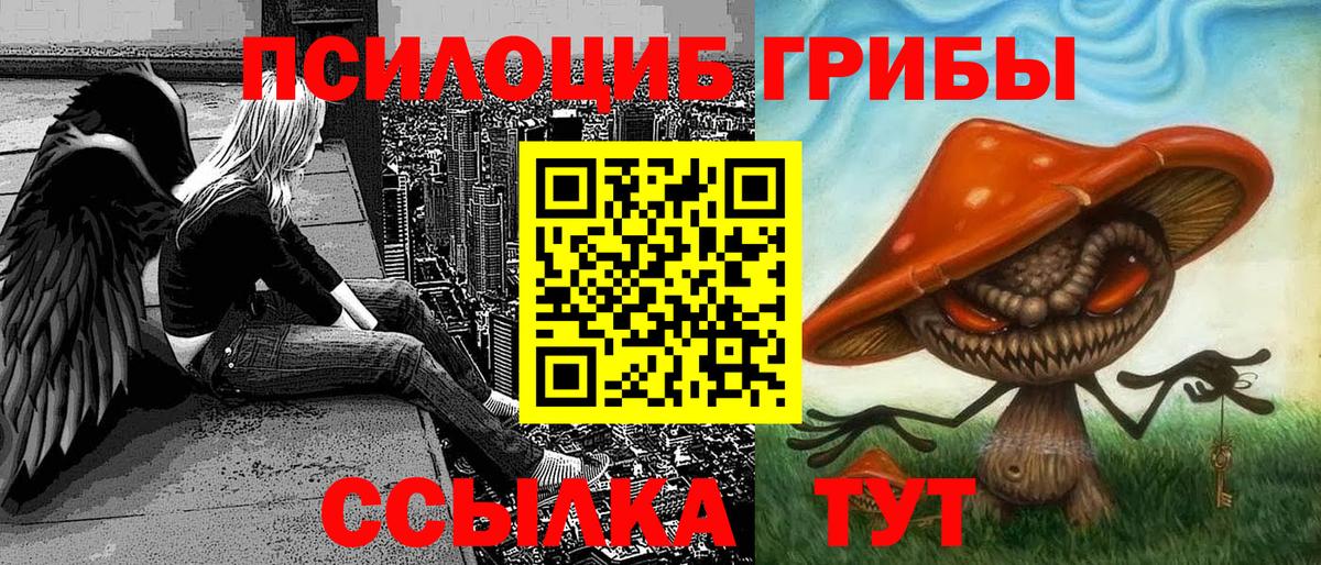 Псилоцибиновые грибы Cubensis Маркс