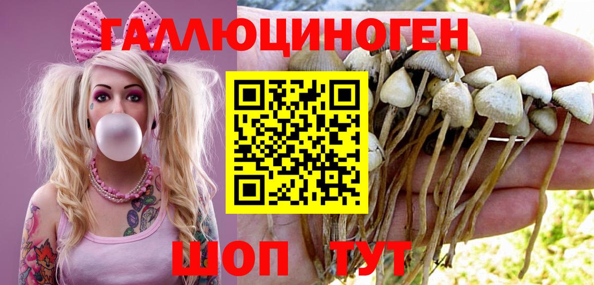 Маркс  Псилоцибиновые грибы прущие грибы  Вход с VPN  Галлюциногенные грибы мухоморы 