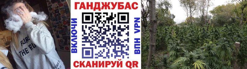 Каннабис MAZAR  Маркс 